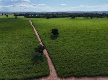Rural · 198m² · FAZENDA DE CANA - INTERIOR DE SÃO PAULO