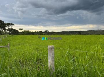 9737_if72Vwa5D67B_973769a5f234c2a96.jpg · Imoveis - na Zona Rural