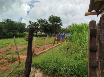 202603021959514227.jpeg · Sítio para Venda em Santo Antônio da Alegria, RURAL