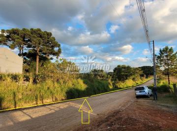 Terreno · 67146m² · Terreno à venda - em Colônia Faria
