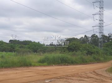 Terreno · 128000m² · Terreno à venda - em Thomaz Coelho