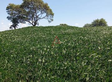 Rural · 89540m² · Sítio à Venda com 3,7 alqueires por R$880.000,00, Urai-PR