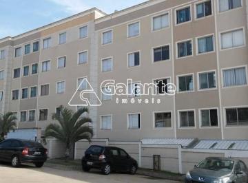 0 · apartamento à venda em Jardim Nova Europa