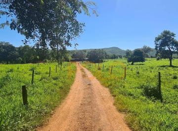 87a4b9fb7daae30f1a7abd2a5d316bd94978cfed · Fazenda à venda na Zona Rural em Paracatu