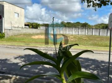 Foto 07 · Terreno à venda Flora Boulevard  Natal-RN, bairro Ponta Negra - 459m² de área!