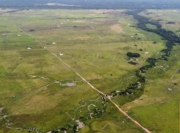 Foto 01 · Fazenda à Venda em Viseu-PA: 3.653 hectares com 4 mil cabeças de gados, lavoura e crédito de carbono