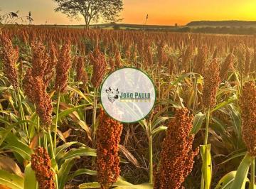 Rural , Prata · Fazenda a venda Prata-MG - 270 Hectares - ALTO POTENCIAL PARA IRRIGAÇÃO