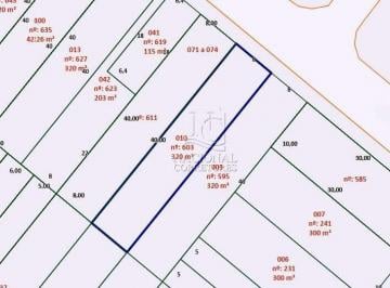 Terreno · 320m² · Terreno à venda, Vila Metalúrgica - Santo André/SP