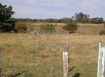 Imagem 1 · Fazenda