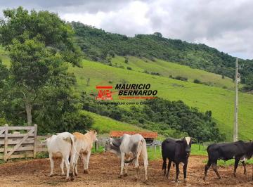 Imagem 1 · Fazenda