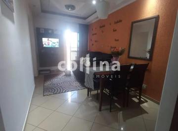 whatsapp-image-2026-03-02-at-18-26-05-21772568024863.jpeg · Imoveis - no Parque das Iglesias