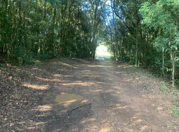Rural · 20000m² · 2 Quartos · Chácara em Centro, São José dos Pinhais/PR de 20000m² 2 quartos à venda por R$ 1.750.000,00