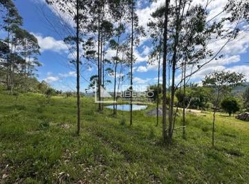 Terreno · 79706m² · Terreno rural à venda, 79.706m² no bairro Alto Liberdade em Benedito Novo/SC