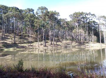 Rural · 2ha · Chácara à venda no bairro Imbuial - Campina Grande do Sul/PR
