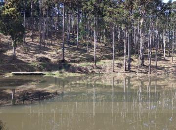 Rural · 5000m² · Chácara à venda no bairro Imbuial - Campina Grande do Sul/PR