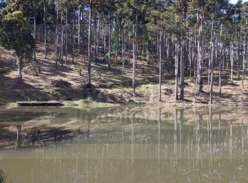 Rural · 5000m² · Chácara à venda no bairro Imbuial - Campina Grande do Sul/PR