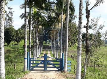 Rural · 4360200m² · 4 Quartos · Fazenda em Centro - Iguape