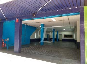 3df202b9ee3e7f9dadf50b616487d5734649b85c · Salão para alugar, 250 m² por R$ 10.700,00/mês - Vila Nova Cachoeirinha - São Paulo/SP