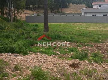Terreno · 1039m² · 1 Quarto · 1 Vaga · Lote em Rua General Alexandre Moss Simões dos Reis - São Ciro - Caxias do Sul/RS