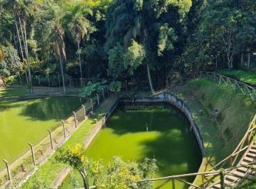 619d1831f876554a6442fe528ca64b5ccfb9281b · Chácara à Venda 3.000m² - Caxambu - Jundiaí - SP