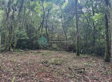 hxv4omo2ogzjytawzmrmowq3_md · Terreno Rural 20 mil m2 com mata natva e riacho