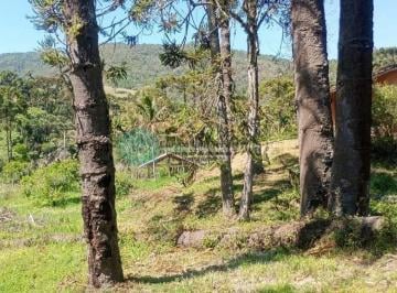 tdxy9be2ota5mzfmyziyztvj_md · O encanto da vida simples em meio às montanhas