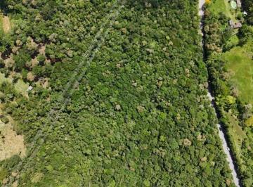 Foto 01 · Excelente oportunidade: Terreno de 9.061,50 m² em São Lourenço da Serra - SP, ideal para lazer, pres
