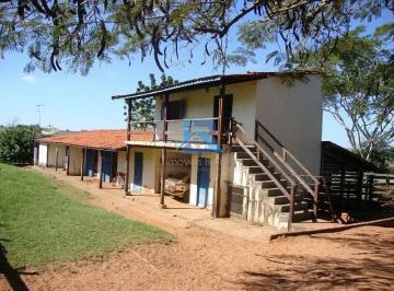 f7anz9089ate1770185957864.jpg · Sítio à venda, 84600 m² por R$ 1.000.000,00 - Sitio Roma - Boa Esperança do Sul/SP