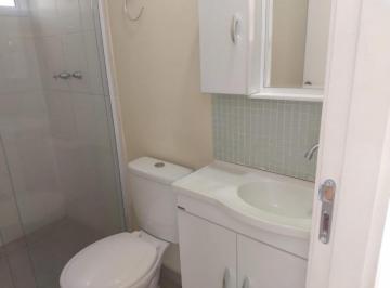 IMG_20260622_031806_000.jpeg · Excelente apartamento para venda em Vila Nova Cachoeirinha com 3 quartos, sendo 1 suíte, 60m² - rema