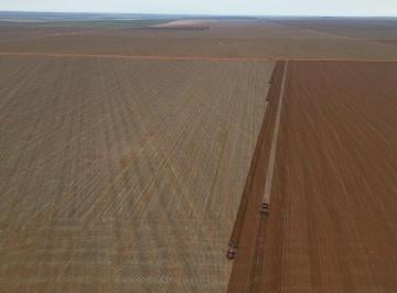 202508071517102588.jpg · Fazenda para Venda em Paranatinga, VISTA ALEGRE