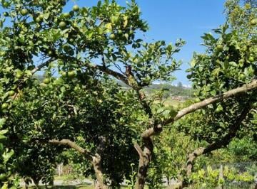 Terreno , Barra Velha · Terreno de 510m², Barra Velha/SC