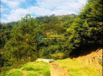 4mcosg02owe4ngexmmrjzwfm_md · Terreno de 3.400m² em Santo Antônio do Pinhal com escritura