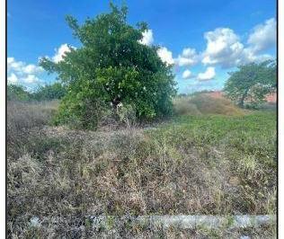 img0 · Oportunidade Única em HORIZONTE - CE | Tipo: Terreno | Negociação: Venda Direta Online  | Situação: 