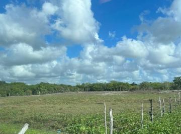 img0 · Oportunidade Única em PARACURU - CE | Tipo: Terreno | Negociação: Venda Direta Online | Situação: I