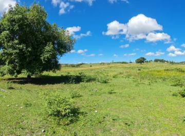 Imagem 1 · Fazenda