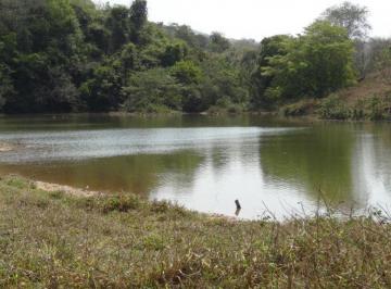Rural , Cocalzinho de Goiás · FAZENDA 246 HECTARES MUNICÍPIO DE COCALZINHO - GO