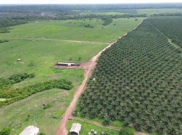 Rural , Tailândia · RC IMOB VENDE: FAZENDA 4.500 HECTARES TAILÂNDIA/TOME AÇÚ