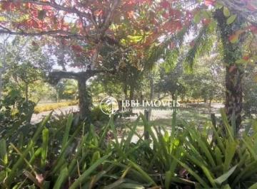 2272eb5c00f150d3141e0bdf85719308209223eb · Terreno Residencial à venda, Centro, Santa Cruz Cabrália - TE0331.