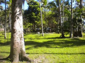 386298db8fef651fa74ab831355a039f8c5c9e37 · Terreno Residencial à venda, Centro, Santa Cruz Cabrália - TE0249.