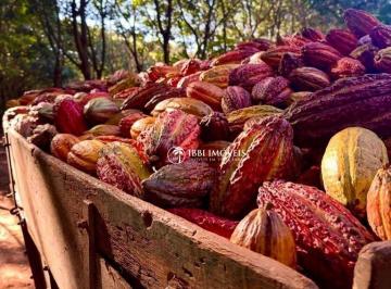 d6d6343e092266f4e13b7b7bcca72488155de75d · Fazenda Rural à venda, Centro, Porto Seguro - FA0013.