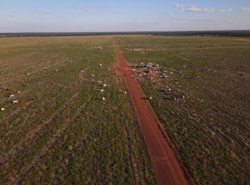 ee8a8c6e0fe5f6410a8e8f1555653299f2a23a46 · Fazenda Rural à venda, Centro, Porto Seguro - FA0053.
