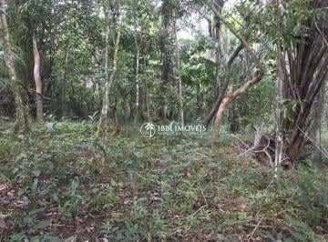 5da334a76bc95344e99a85f42660312b478e4e22 · Terreno à venda, 2000 m² por R$ 650.000,00 - Boipeba - Cairu/BA
