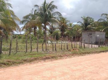 e53b3ea0ae67cb9797f48f45b7c39c32abab1ee5 · Oportunidade no Povoado de Coqueiros: Terreno com 3.000m², Plano e Arborizado