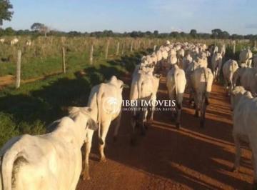 14c25f267e02705d816bb0fdbde4c5d3a7eb1c1a · Fazenda Rural à venda, Centro, Belmonte - FA0022.