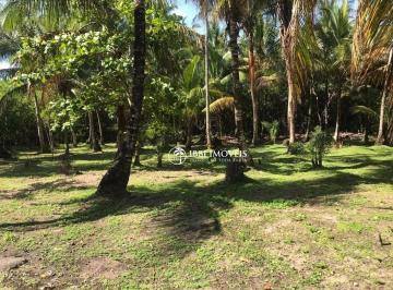 834e52ff477302f2b236beb42ed37a35bed91bcd · Fazenda à venda, 641900 m² por R$ 12.000.000,00 - Boipeba - Cairu/BA
