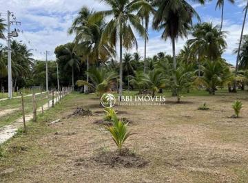 c986e46d6dbc947b941270cb691603b36c7d6ed7 · Terreno à venda, 3000 m² por R$ 1.500.000,00 - Morro de São Paulo - Cairu/BA