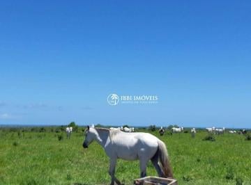 dbaf29e22e695e30b9c8f202395c462b97f76662 · Fazenda Rural à venda, Centro, Belmonte - FA0017.