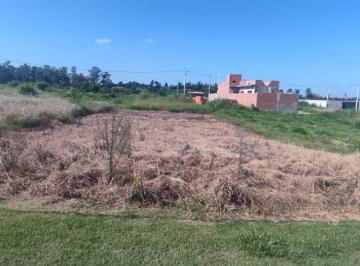 Terreno , Cesário Lange · Terreno de 250 m² (10x25) no Jardim Paulista 2 em Cesário Lange
