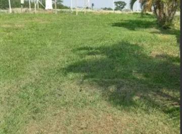 Imagem 1 · Chácara para venda em Bairro dos Pires, Limeira