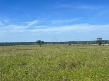 Imagem 1 · Fazenda